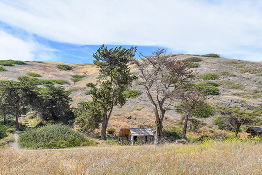 This is a picture taken on Santa Cruz Island in the Channel Islands National Park, CA. The only way to visit this park is by boat or plane which makes it very special.