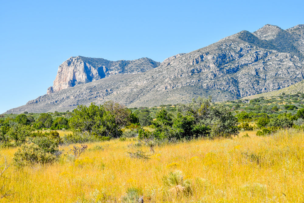 This is a photograph of Guadalupe Mountains National Park in Texas.