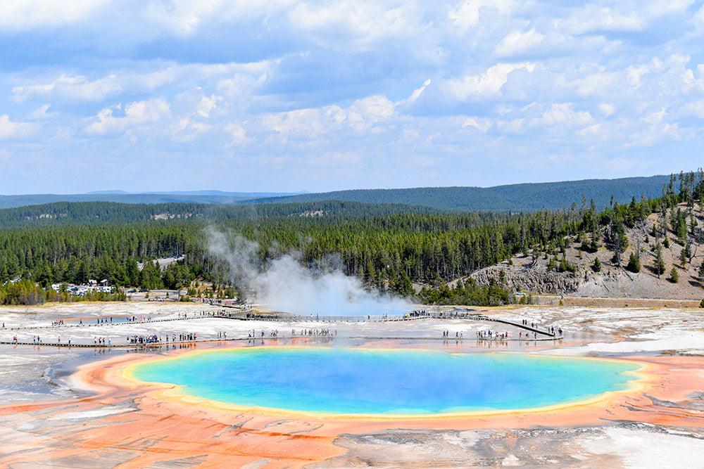 This is an image of the Grand Prismatic Geyser located in Yellowstone National Park in Wyoming. It's a magical feeling to see this geyser, if you have a photo to remember your visit it will help keep the nostalgia alive.